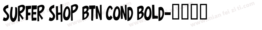 Surfer Shop BTN Cond Bold字体转换